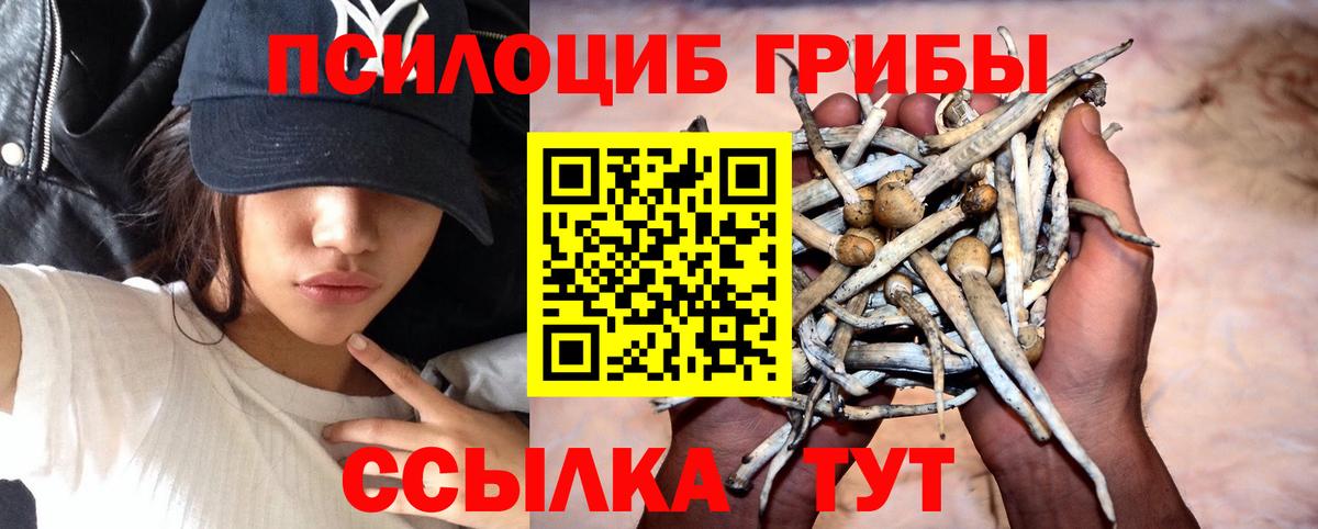 Псилоцибиновые грибы GOLDEN TEACHER  Вход с VPN  Галлюциногенные грибы Magic Shrooms  где можно купить наркотик  Новоалександровск 